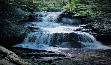 Ricketts Glen State Park