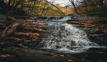 Shenandoah National Park