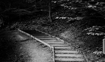 Stairs at McConnells Mill